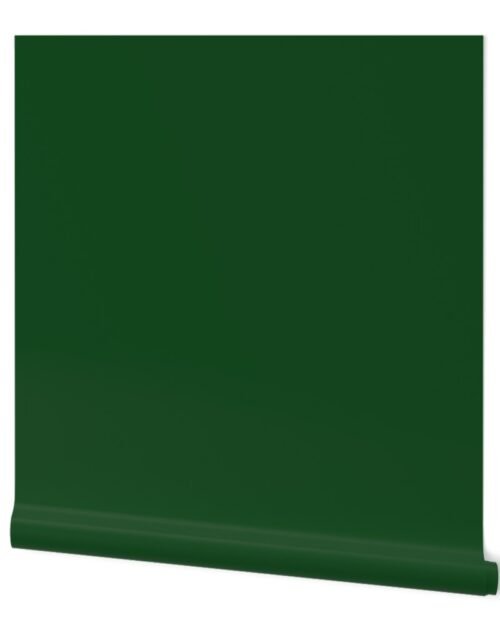 Green Boot Solid Summer Party Color Wallpaper