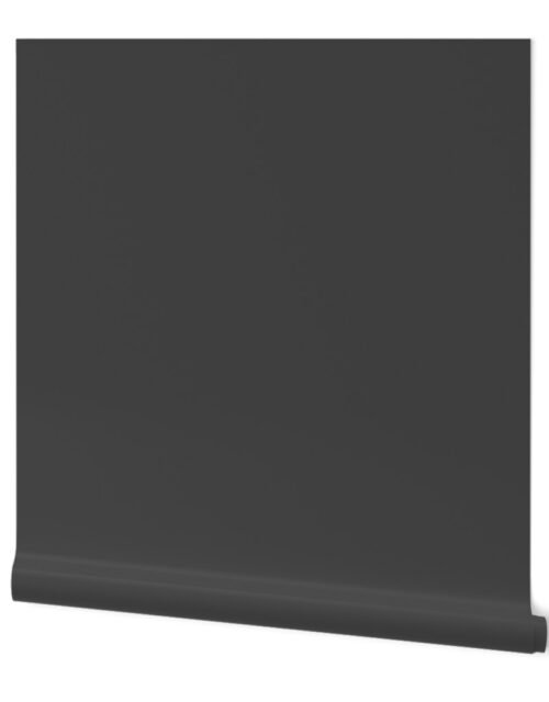 Grey Cinder Solid Summer Party Color Wallpaper