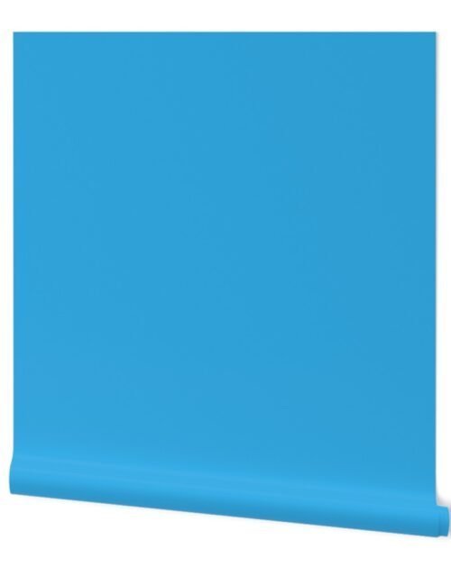 Blue Sky Solid Summer Party Color Wallpaper