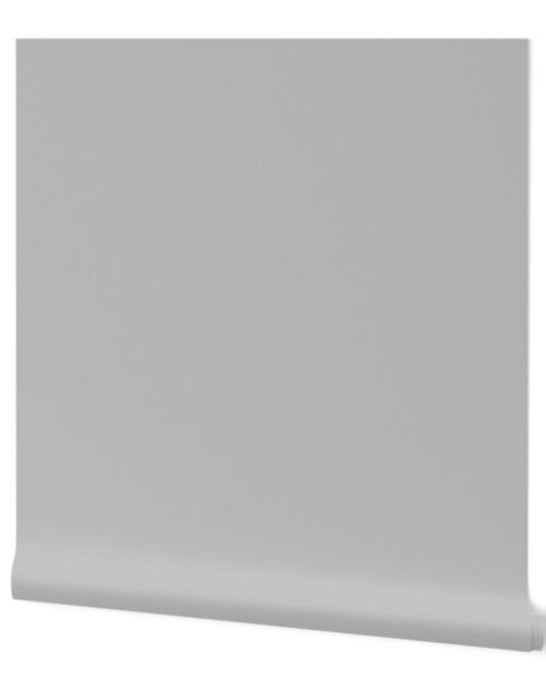 Grey Fog Solid Summer Party Color Wallpaper