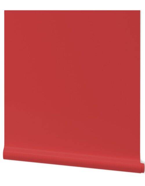 Cranberry Red Solid Color Trend Autumn Winter 2019 2020 Wallpaper
