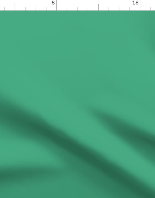 Beguiling Green Dark Shade Solid Color Coordinate Fabric