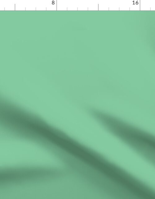 Beguiling Green Shade Solid Color Coordinate Fabric