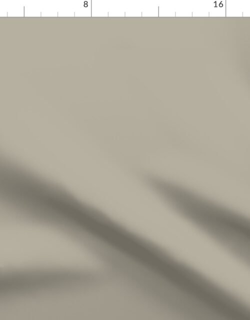 Beige Solid Trim Color Fabric