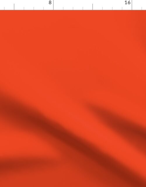 Citrus Orange Florida Colors of the Sunshine State Fabric
