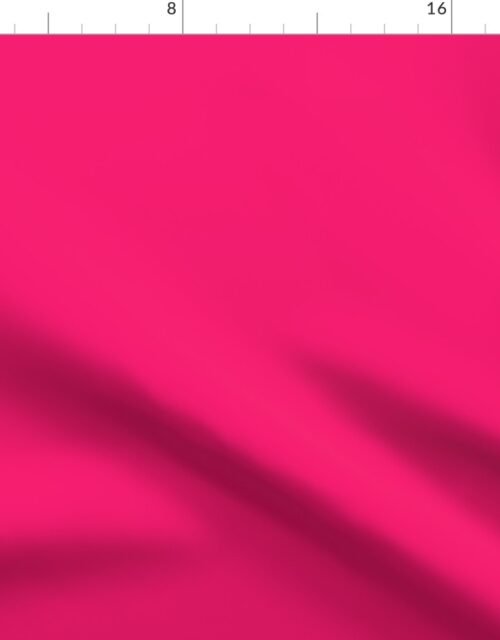 Florida Flamingo Pink Florida Colors of the Sunshine State Fabric