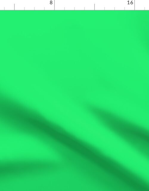 Lime Mojito Green Florida Colors of the Sunshine State Fabric
