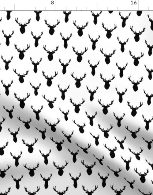 Small Black Buck Deer Trophy Heads with Antler Racks Mounted on White Fabric