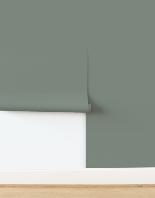 Sage Green Solid Trim Color French Provincial Spring Wallpaper