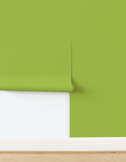 Fresh Green Solid Trim Color French Provincial Spring Wallpaper