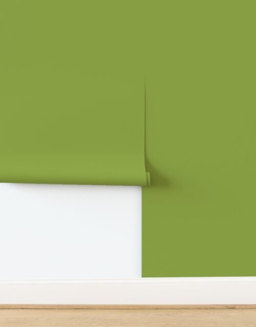 Grass Green Solid Trim Color French Provincial Spring Wallpaper