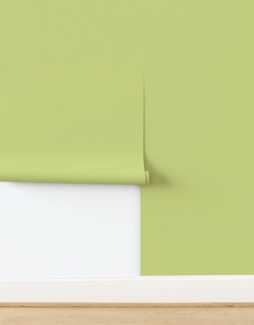 New Green French Solid Trim Color Provincial Spring Wallpaper