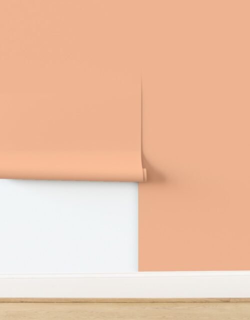 Peach Fuzz Solid Design Color of the Year 2024 Wallpaper