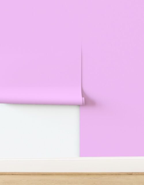 Clematis Pink Solid Summer Gazebo Pastel Design Color Wallpaper
