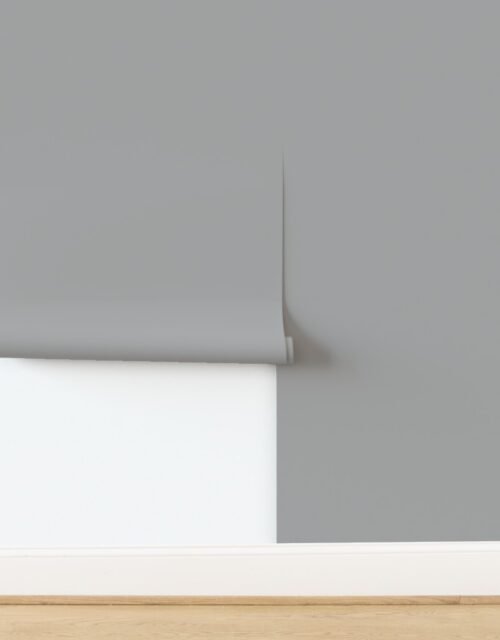 Solid Parisian Grey - Palette de Provence Wallpaper