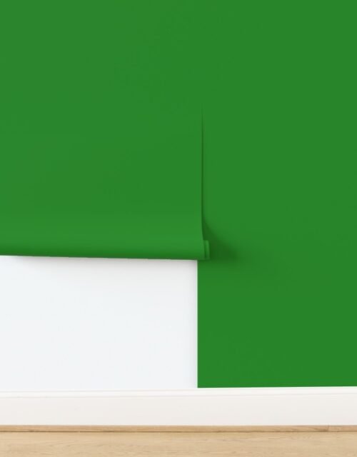 Solid Forest Green - Palette de Provence Wallpaper