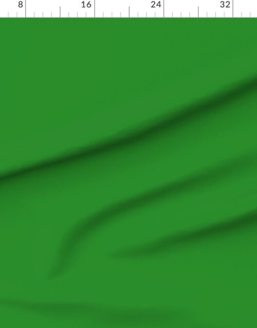 Solid Forest Green - Palette de Provence