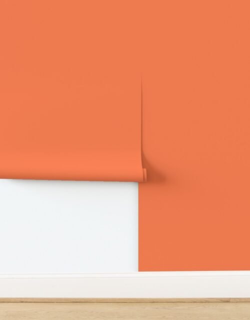Solid Coral - Palette de Provence Wallpaper
