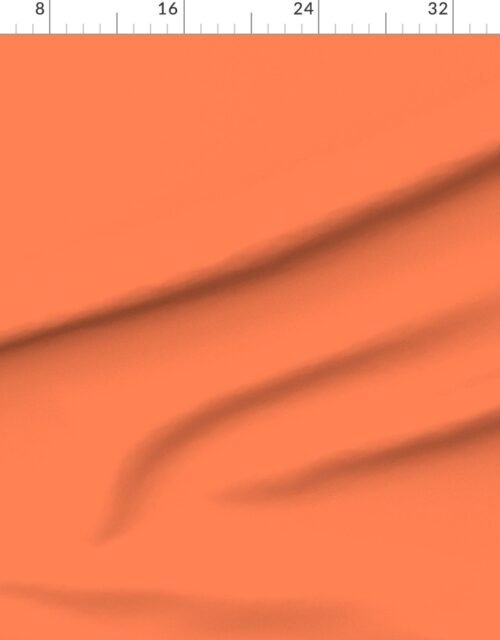 Solid Coral - Palette de Provence
