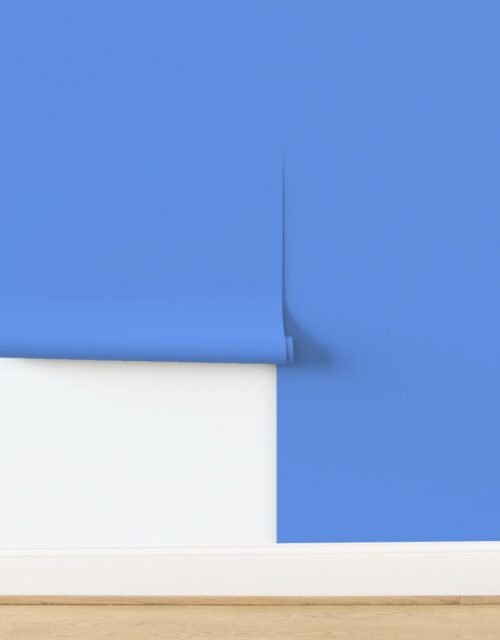 Alabama Cornflower Blue Gentle Resolve Wallpaper