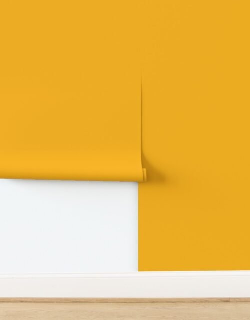 California Golden Poppy Vibrant Sunshine Wallpaper