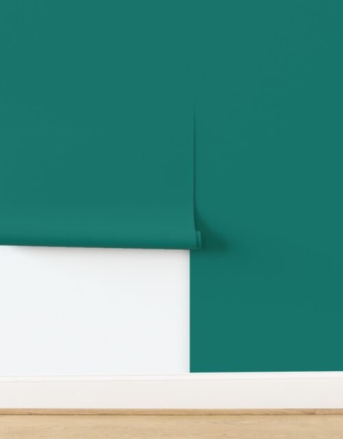 Connecticut Pine Green Forest Quiet Wallpaper