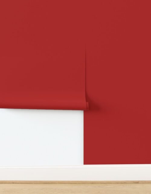 Hawaii Hibiscus Red Island Passion Wallpaper