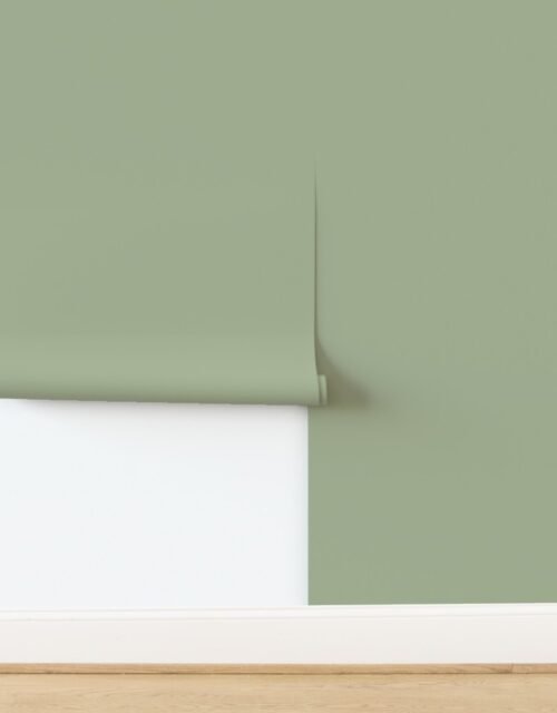 Idaho Dusty Sage Western Stillness Wallpaper