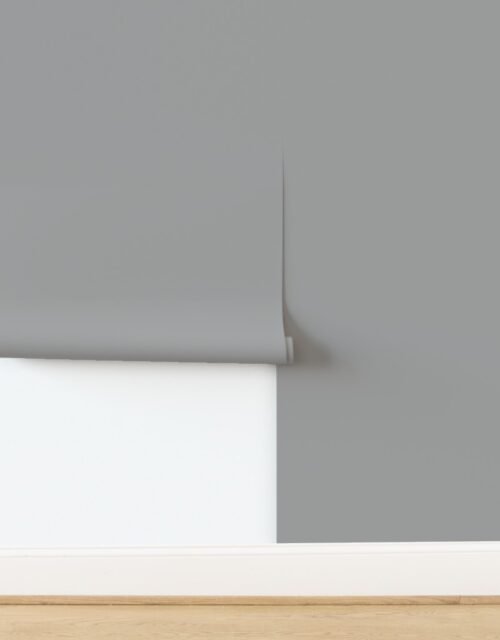 Idaho River Rock Gray Natural Balance Wallpaper