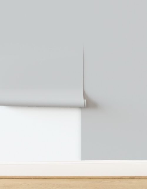 Solid Light Dove Grey Subtle Mystical Neutral Wallpaper