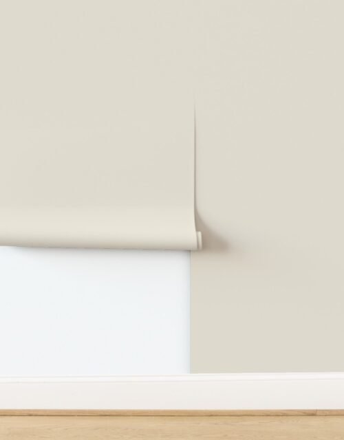 Sandstone Cream Light Earth Tone Companion Wallpaper