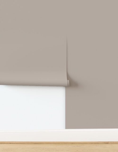 Misty Taupe Soft Earth Tone Companion Wallpaper