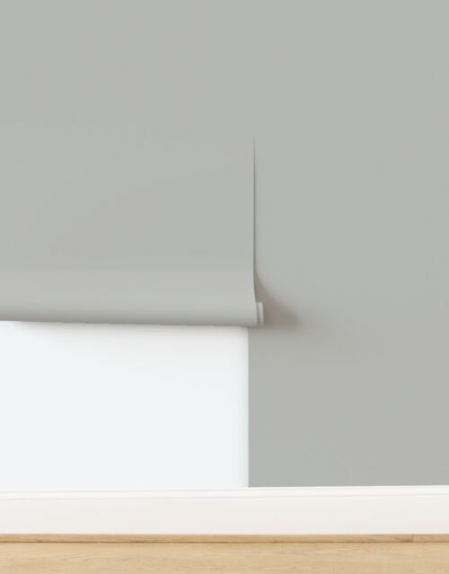 Driftwood Grey Natural Warm Grey from the Mystical Earth Collection Wallpaper