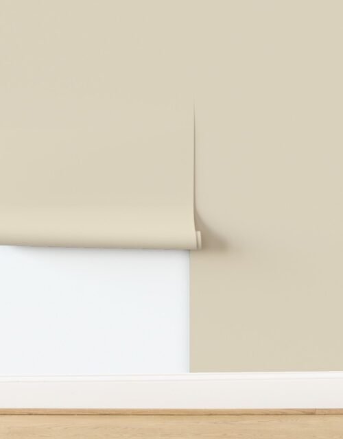 Pale Almond Light Neutral from the Mystical Earth Collection Wallpaper