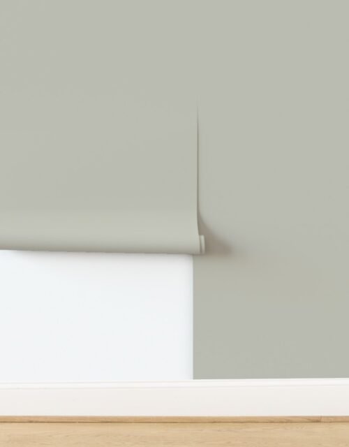 Light Putty Subtle Taupe Neutral from the Mystical Earth Collection Wallpaper