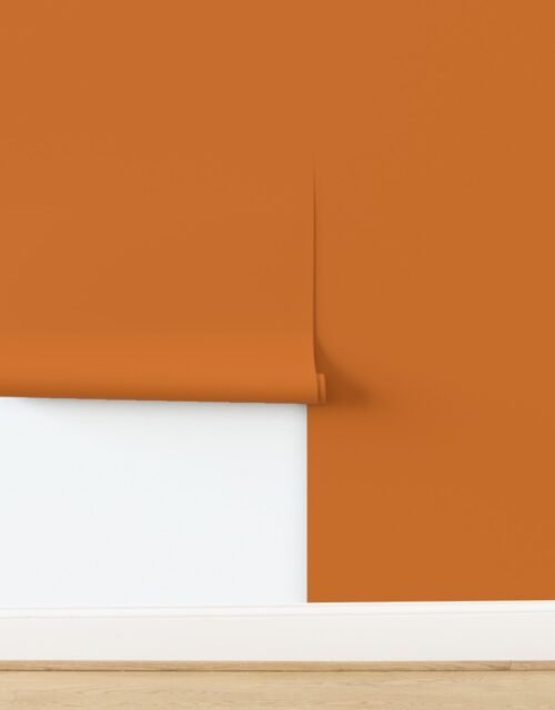 Solid Pumpkin Spice Orange Retro 70s Shag Carpet and Party Punch Wallpaper