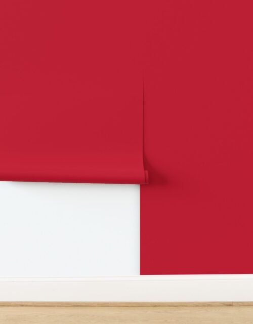 Holly Berry Red Classic Christmas Solid with Festive Charm Wallpaper