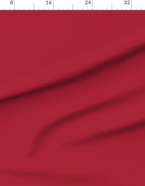 Fabric in Cranberry Glaze Rich Holiday Red with Cozy Christmas Warmth