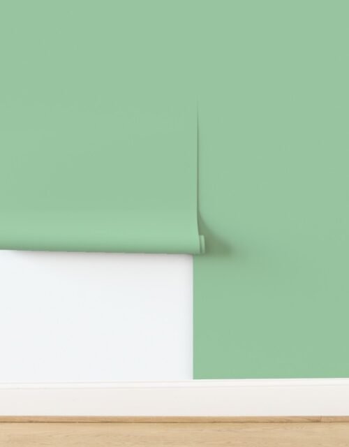 Snow Pine Mint Frosted Green Christmas Solid with Vintage Cool Wallpaper