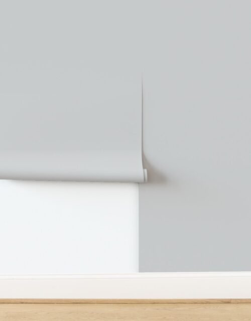 Winter Dove Gray Soft Warm Gray Christmas Solid with Peaceful Tones Wallpaper