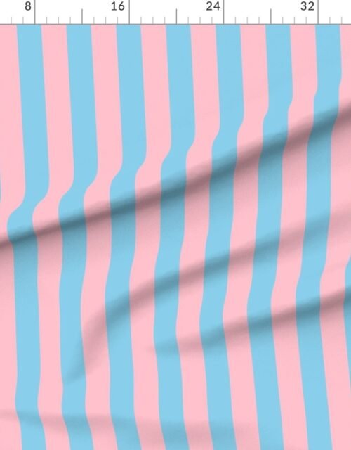 Fabric in Bold Coastal Classic Pink and Sky Blue Cabana Tent Stripe