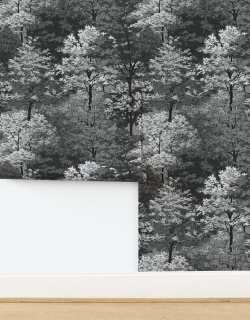 New England Endless Forest Fall Trees - Monochrome Gray Wallpaper