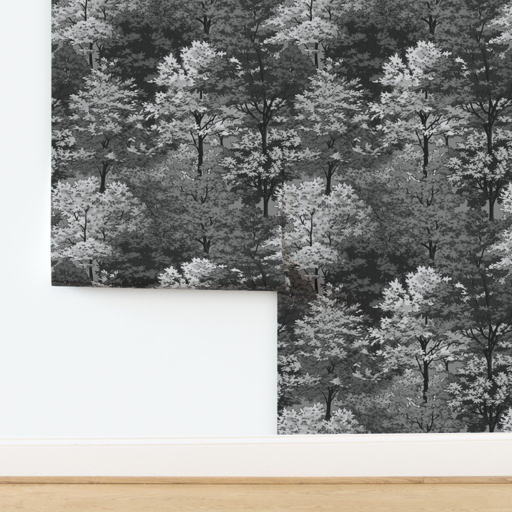 New England Endless Forest Fall Trees – Monochrome Gray Wallpaper New England Endless Forest Fall Trees - Monochrome Gray Wallpaper