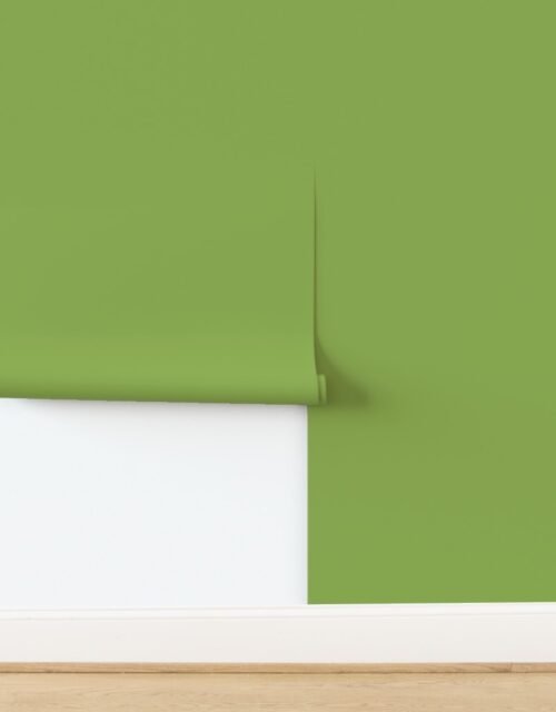 Hospital Wall Green Solid Fabric Intentionally Unloved Collection Wallpaper