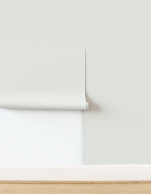 Cloud Dancer Off White Solid Fabric 2026 Color of the Year Wallpaper