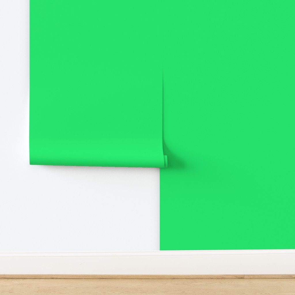 Lime Mojito Green Florida Colors of the Sunshine State Wallpaper design