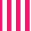 Florida Flamingo Pink Vertical Tent Stripes Florida Colors of the Sunshine