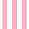 Palm Beach Pink Vertical Tent Stripes Florida Colors of the Sunshine State