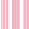 Palm Beach Pink and White Vertical French Stripe
