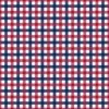 USA Red White and Blue Medium 1/2 Inch Gingham Check